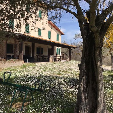 Costacciaro Pian D'Isola Bed & Breakfast エクステリア 写真